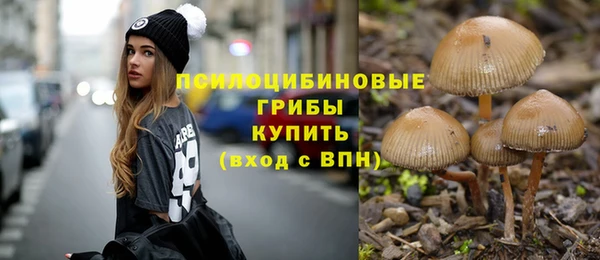 шишки Зеленодольск