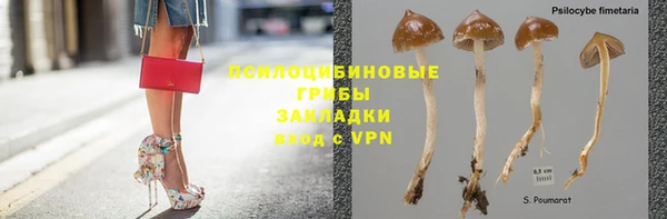шишки Зеленодольск