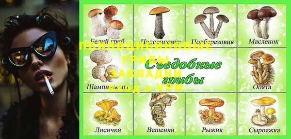 шишки Зеленодольск