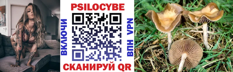 Купить где  Пятигорск  Псилоцибиновые грибы мицелий 